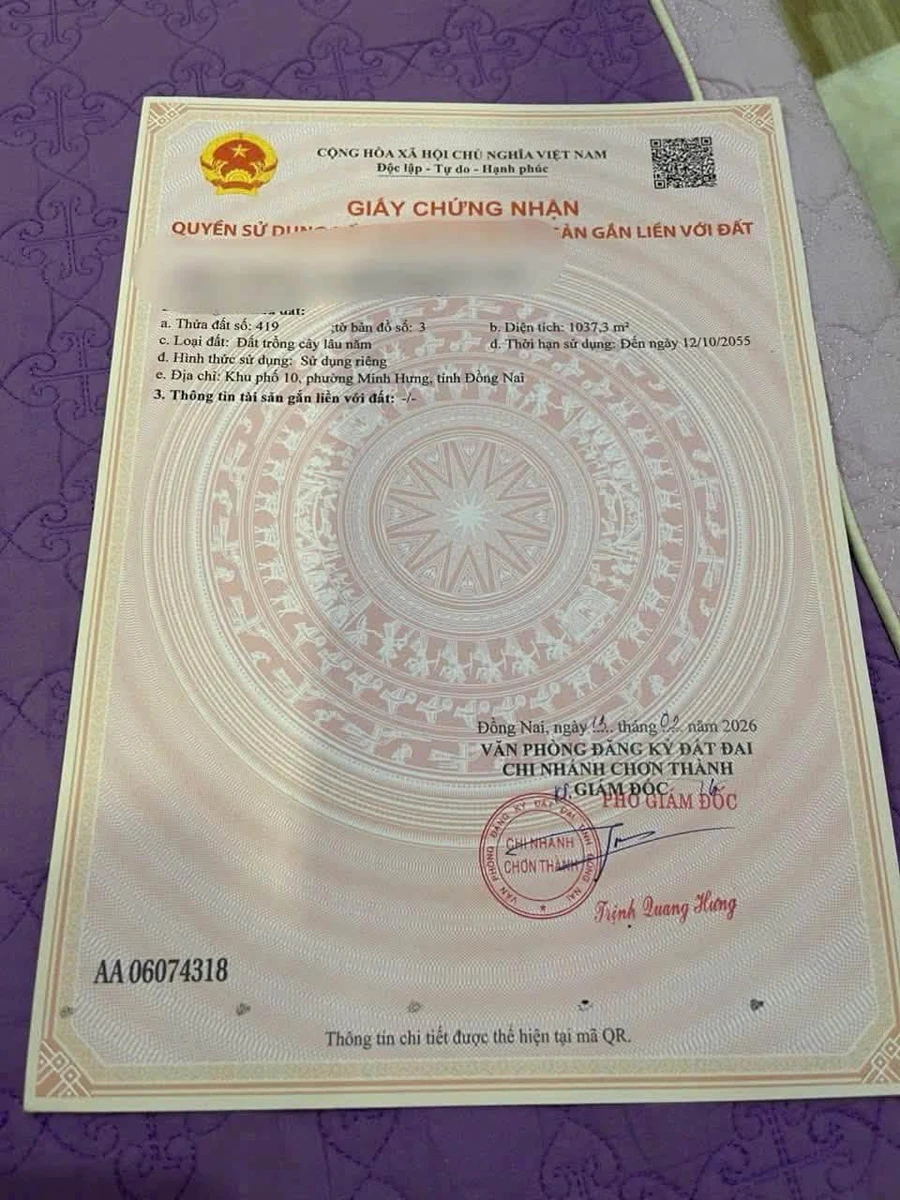 Bán đất Phường Minh Hưng 1000m2 - Ảnh thu nhỏ 3