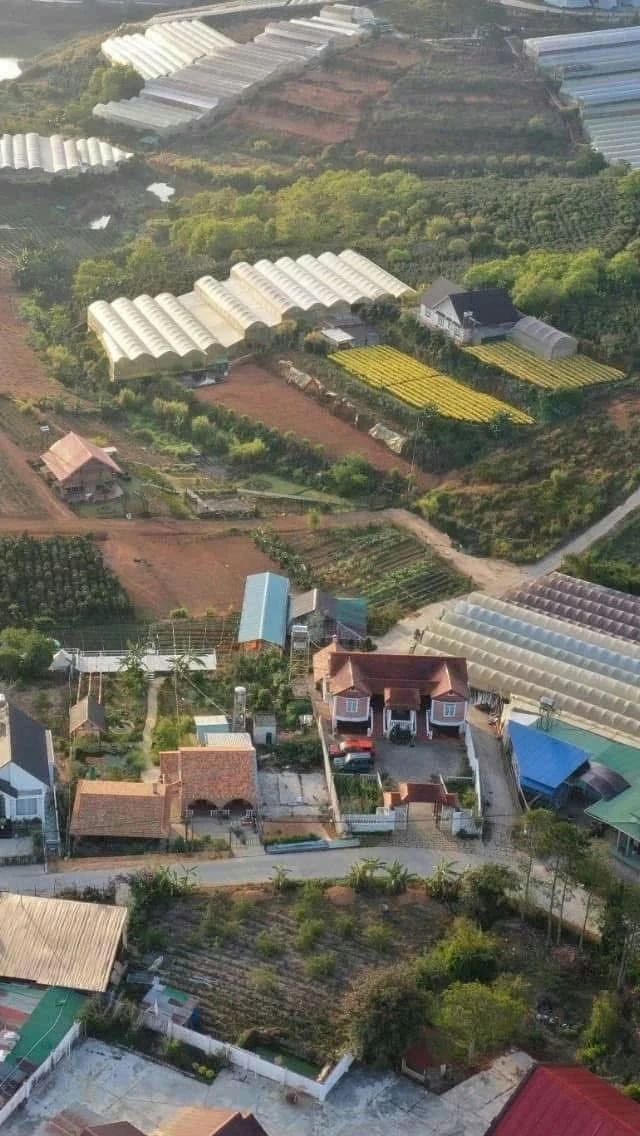 Bán biệt thự Đà Lạt 8000m2 giá 3 triệu/m2 - Ảnh thu nhỏ 2