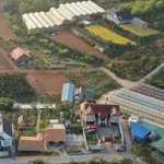 Bán biệt thự Đà Lạt 8000m2 giá 3 triệu/m2 - Ảnh thu nhỏ 2