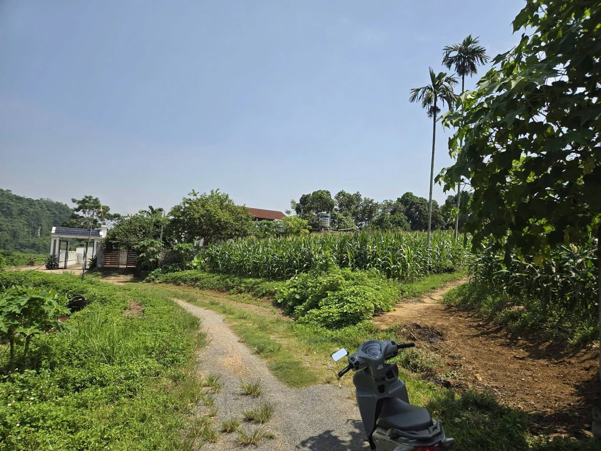 Bán đất xưởng 2000m² Cao Dương, Hà Nội giá 3 tỷ - Ảnh thu nhỏ 3