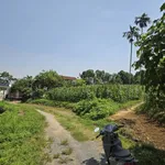 Bán đất xưởng 2000m² Cao Dương, Hà Nội giá 3 tỷ - Ảnh thu nhỏ 3