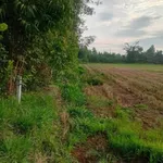Bán đất lúa 14000m² tại Đức Huệ, Long An - Ảnh thu nhỏ 1