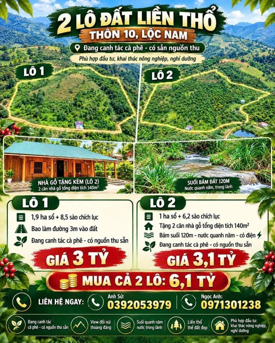 Bán vườn nghỉ dưỡng 5 hecta Bảo Lâm Lâm Đồng 6.2 tỷ - Ảnh thu nhỏ 5