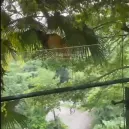 Cắt lỗ căn hộ Forest In The Sky Đại Lải giá 2 tỷ 300 bao phí sang tên diện tích 60m2 - Ảnh thu nhỏ 10