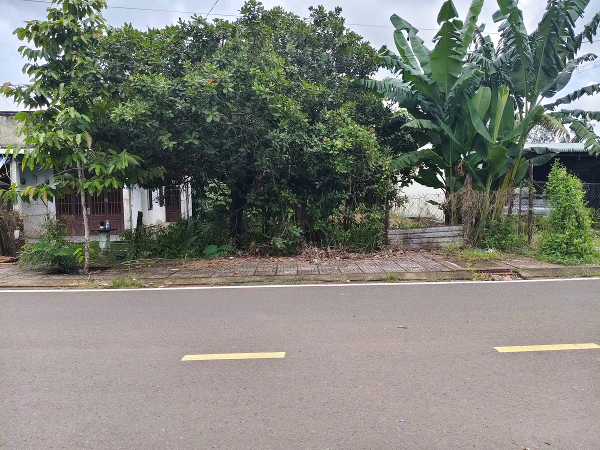 Bán đất 9,5x56m giá 1,5 tỷ tại Tân Bình, phường Bình Phước, Đồng Nai - Ảnh thu nhỏ 3