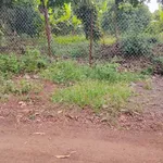 Bán đất 400m² Bảo Vinh Long Khánh giá 690 triệu - Ảnh thu nhỏ 2