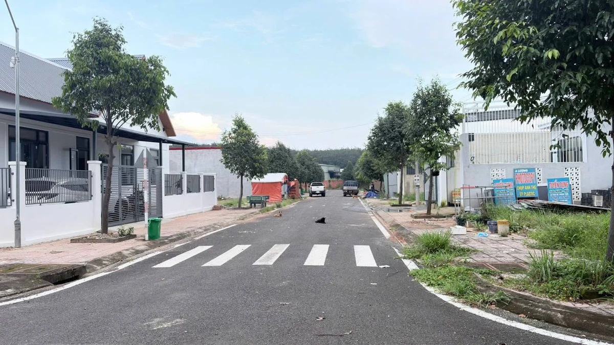 Bán đất mặt tiền 60 m² Phường Bình Phước, 590 triệu - Ảnh thu nhỏ 5