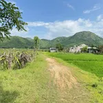 Bán nhà yến + nhà cấp 4, 2.128m², Phan Thiết, 1 tỷ đồng - Ảnh thu nhỏ 5