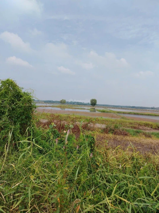 Tây Ninh - 22 tỷ MT QL22B. 6000m2 MT suối 1814.6m2 thổ cư. Ngang 35x60m. Tiện xây nhà xưởng CHDV - Ảnh 1