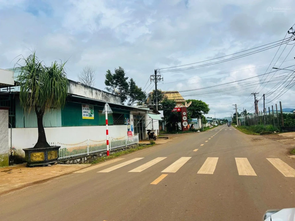 Chính chủ bán đất mặt đường Đào Duy Từ, TP Pleiku, đất sát Biển Hồ. Giá rẻ. LH 0986 853 *** - Ảnh thu nhỏ 5
