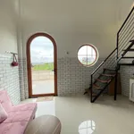 Bán dãy trọ 200m² 14 phòng cạnh KCN Thạnh Lộc 5.2 tỷ - Ảnh thu nhỏ 2