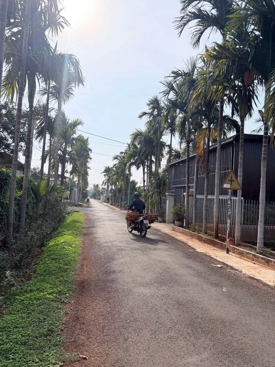 Bán đất Đạt Lý đường 20A, 150m², 1 tỷ 690 triệu - Ảnh thu nhỏ 2