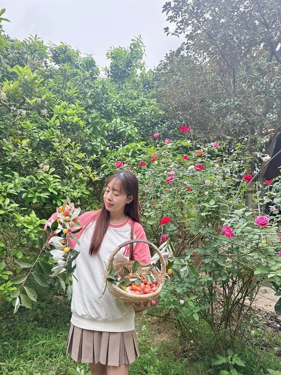 Bán nhà vườn 1PN 525m2 Mỹ Đình Hà Nội 4 tỷ - Ảnh thu nhỏ 2