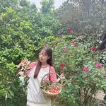 Bán nhà vườn 1PN 525m2 Mỹ Đình Hà Nội 4 tỷ - Ảnh thu nhỏ 2