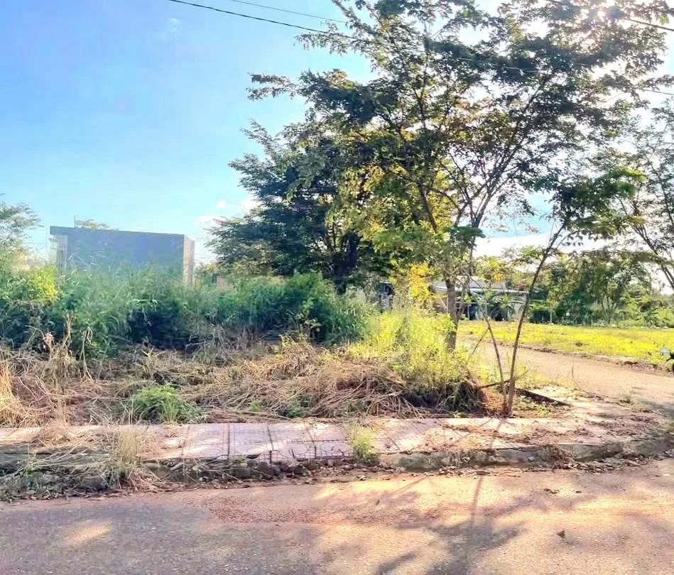 Bán lô góc 2 mặt tiền 175m² Tân Phú 470 triệu - Ảnh thu nhỏ 3