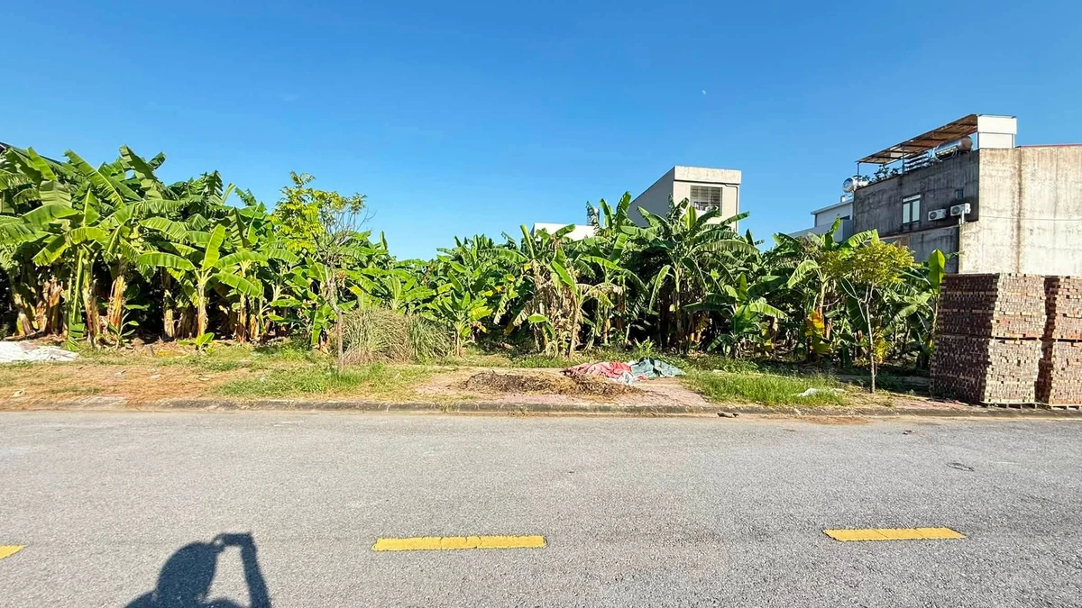 Bán lô đất Khu Đồng Bưởi, Hải Phòng 80m², giá 3 tỷ - Ảnh thu nhỏ 4