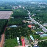 Bán đất nhánh Lê Duẩn 170m² Chơn Thành 580 triệu - Ảnh thu nhỏ 2