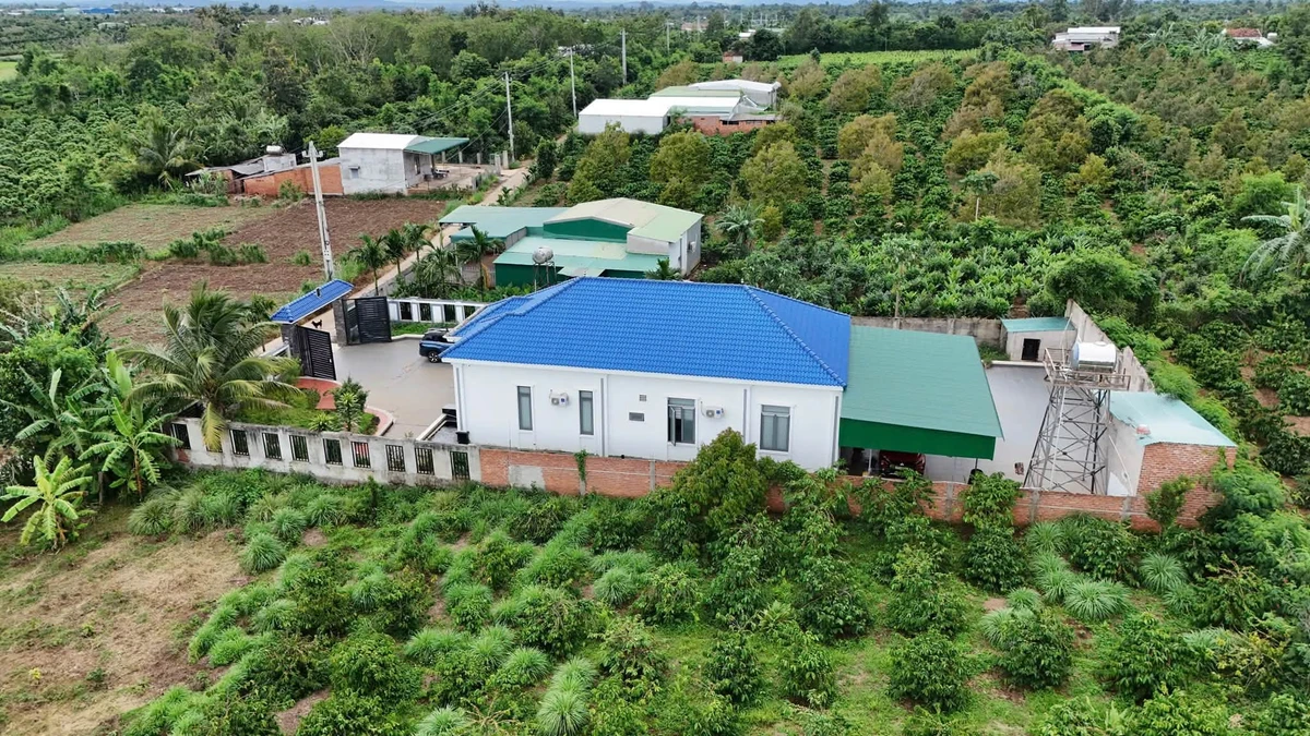 Nhà bán Xã Ea Klý Đắk Lắk 1.000m² giá 2 tỷ 650 triệu - Ảnh thu nhỏ 3