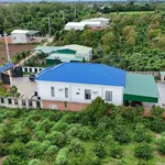 Nhà bán Xã Ea Klý Đắk Lắk 1.000m² giá 2 tỷ 650 triệu - Ảnh thu nhỏ 3