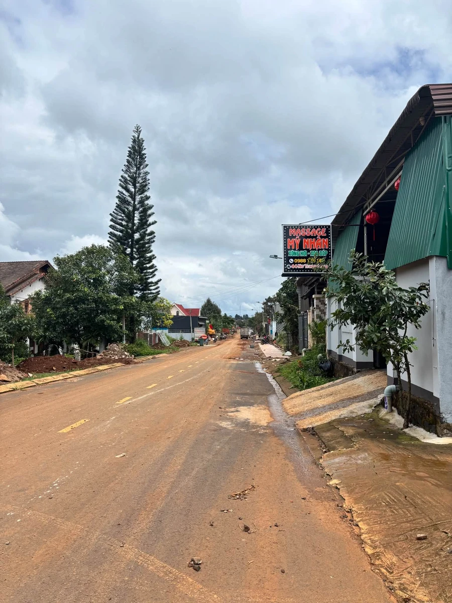 Bán lô đất 8x24m (192m²) đường Nơ Trang Long, giá 1 tỷ 250 triệu - Ảnh thu nhỏ 2