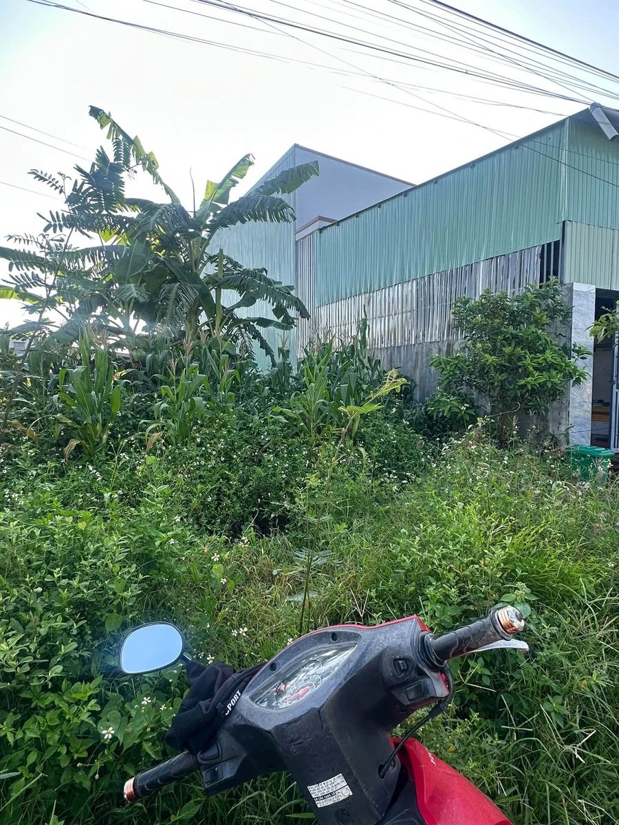 Bán đất 6x26 tại Chư Sê, Đắk Lắk, 940 triệu - Ảnh thu nhỏ 3