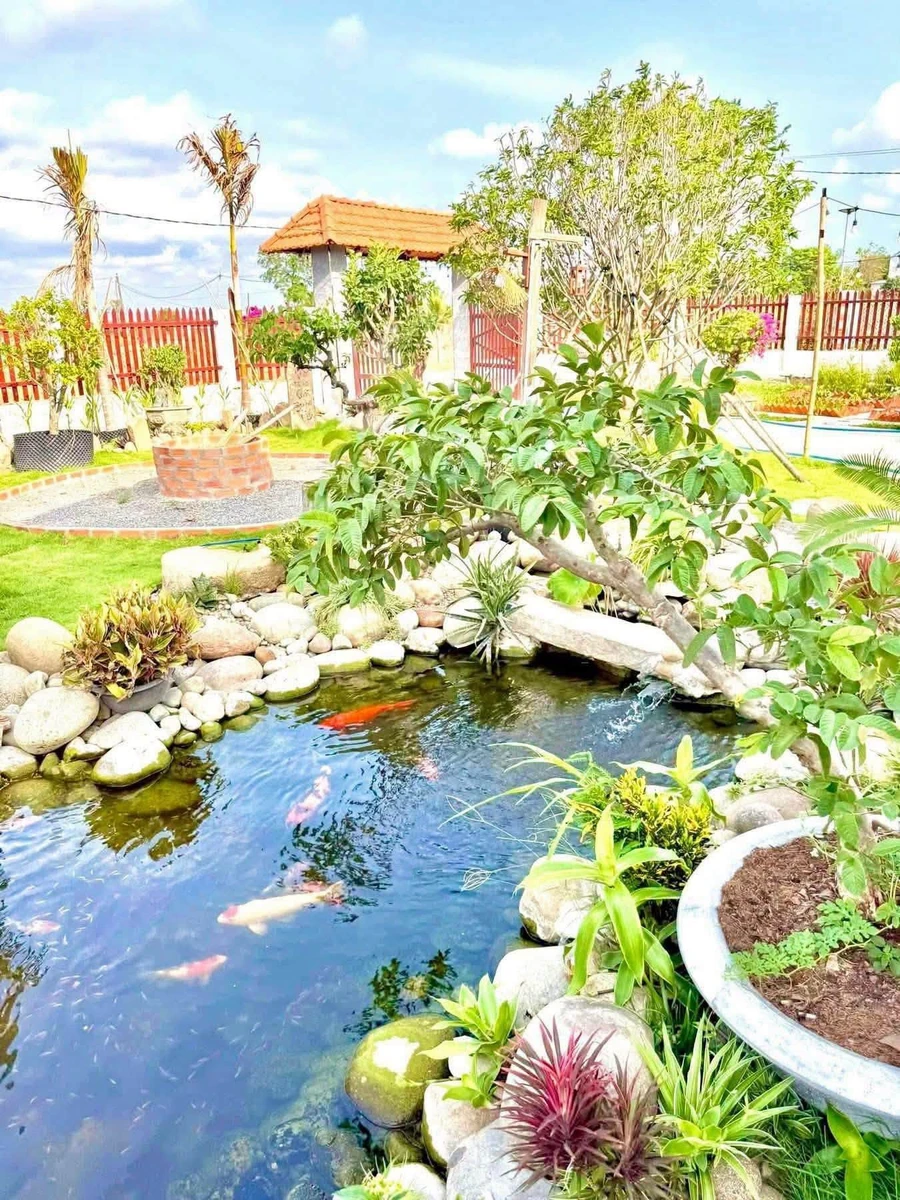 Bán lô đất góc 2 mặt tiền 750m2 Hàm Liêm Khánh Hòa - Ảnh thu nhỏ 3