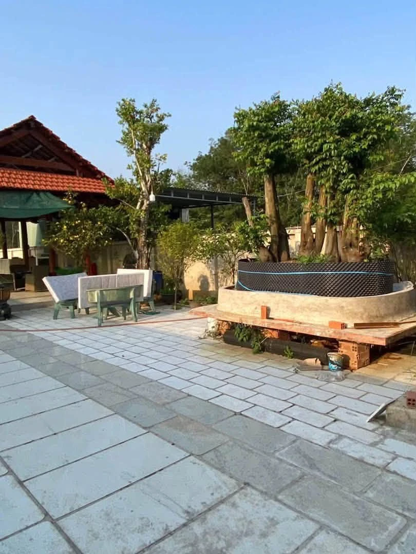 Bán nhà vườn 500m2 Tân Hiệp Tân Uyên - Ảnh 1