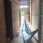 Bán nhà cấp 4 mặt tiền 12m, 100m², 2PN ở Tân Tây Thạnh, Long An - Ảnh thu nhỏ 5