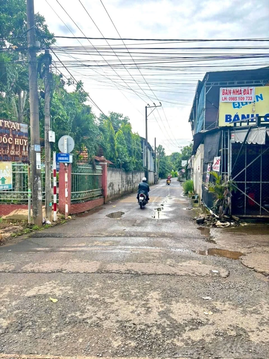 Bán lô đất 8060,9m2 mặt tiền hơn 100m, vườn trái cây tại Phường Dầu Dây, Đồng Nai - Ảnh 1