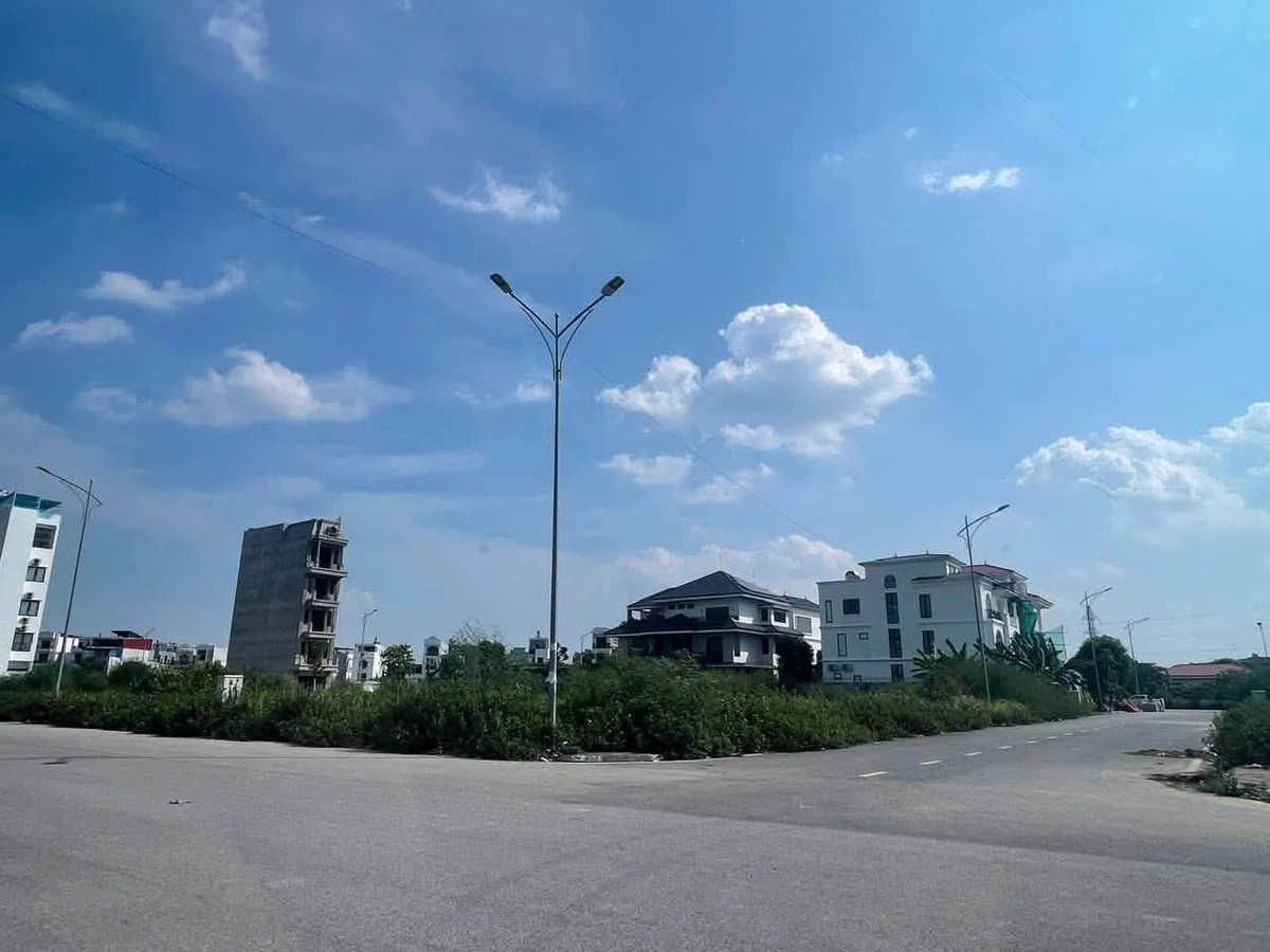 Bán đất lô góc khu biệt thự Đồng Bồ 337,5m² - Ảnh thu nhỏ 2