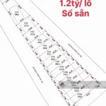 2 mặt tiền nhựa Thị trấn Phước Hải - gần biển Phước Hải - khu dân cư - 136m2, 5x28m - 1,2 tỷ - Ảnh thu nhỏ 6