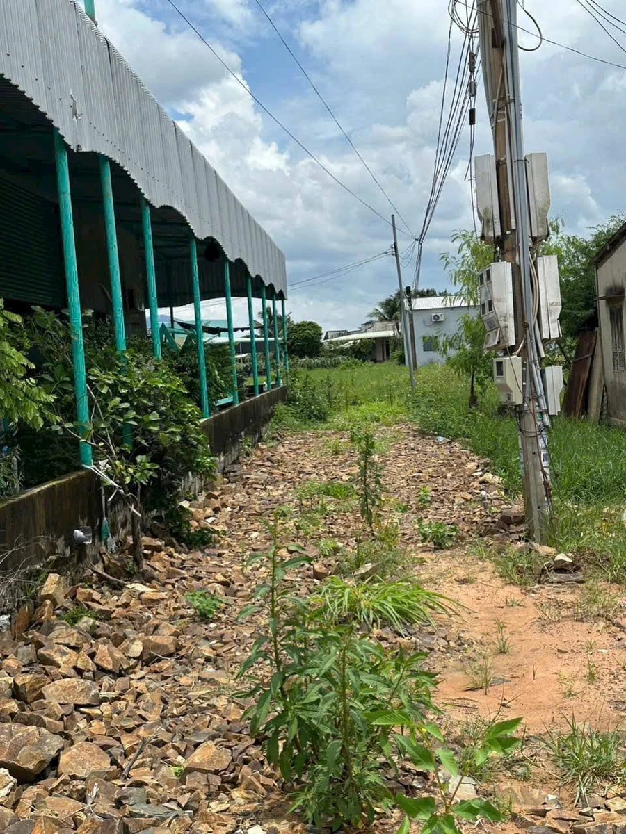 Bán đất 200m² thổ cư 2 mặt tiền Bình Dương 330 triệu - Ảnh thu nhỏ 3