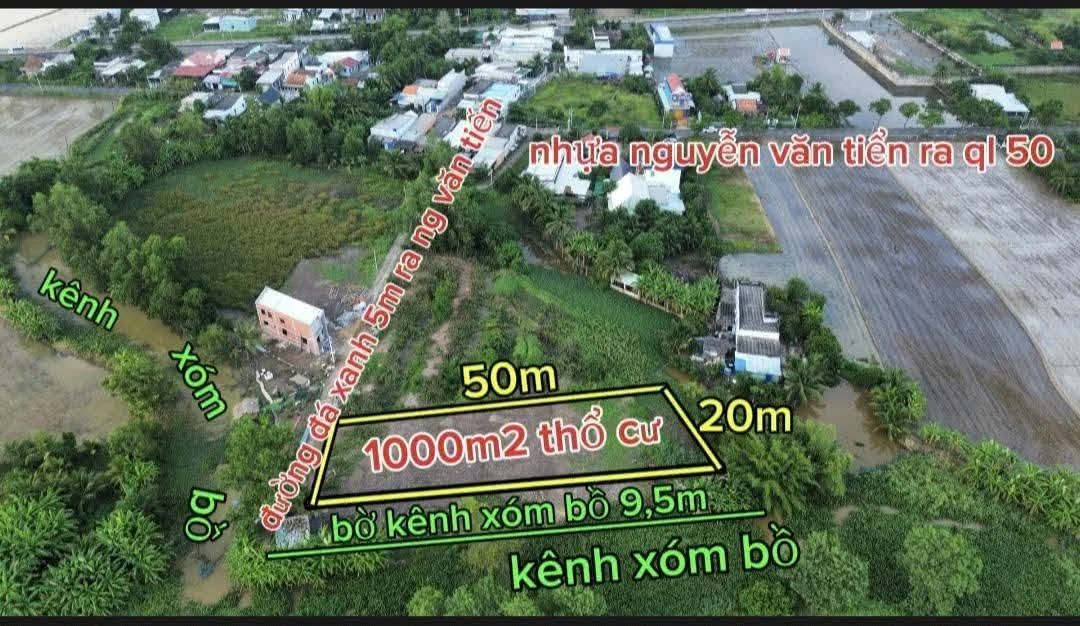Bán đất thổ cư 1000m2 mặt tiền, Cần Đước, Long An - Ảnh thu nhỏ 4
