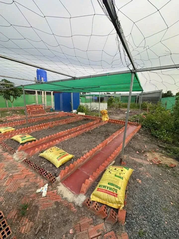 Bán nhà vườn 1000m² Đức Huệ Long An, giá 1 tỷ 650 - Ảnh thu nhỏ 5
