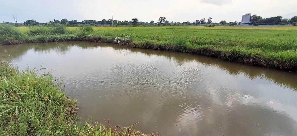 Bán đất gần 1 sào An Phú Hàm Chính 200 triệu - Ảnh thu nhỏ 3