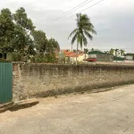 Đất có sổ đỏ đang sử dụng trồng hoa màu - Ảnh thu nhỏ 5