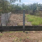 Bán đất thổ cư 5x35 Tầm Vu 899 triệu - Ảnh thu nhỏ 1