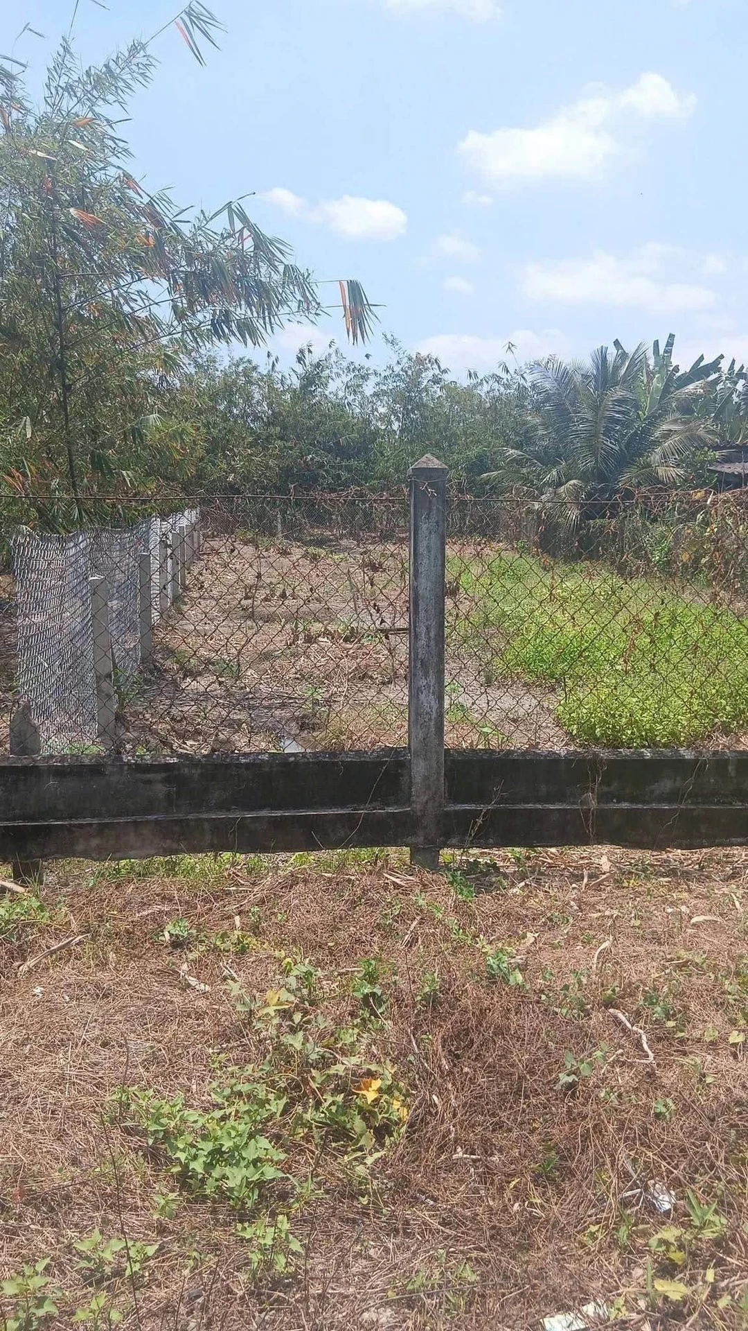 Bán đất thổ cư 5x35 Tầm Vu 899 triệu - Ảnh 1