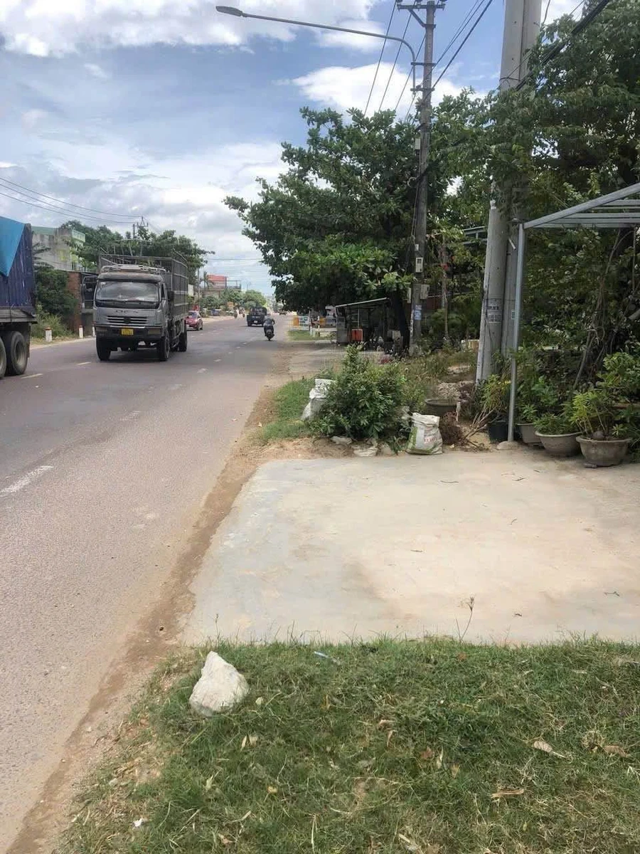 Bán đất mặt tiền Quốc lộ 1A Quy Nhơn 100m2 - Ảnh thu nhỏ 3