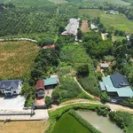 Bán đất nông nghiệp 2000 m² Thanh Oai Hà Nội - Ảnh thu nhỏ 4