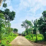 Đất view hồ Ea Nhái 4000m2 xã Cuôr Đăng - Ảnh thu nhỏ 1