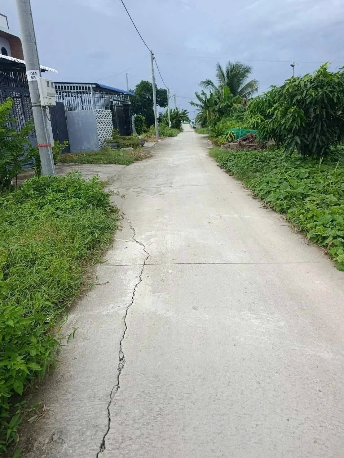 Bán đất mặt tiền Kinh 7 Thạnh Lộc 500m² - Ảnh 1