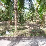Bán 1000m2 đất xã Phú Nhuận Bến Tre - Ảnh thu nhỏ 2