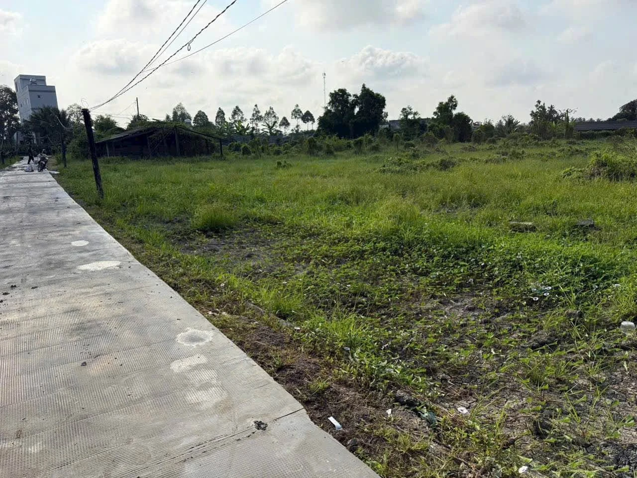 Bán đất 12x80m nở hậu, có sổ, ao cá, xã Tầm Vu, Tây Ninh - Ảnh 1