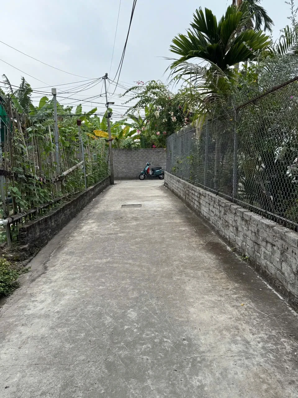 Bán lô góc 73,2m2 mặt tiền 4m Hải Phòng - Ảnh 1