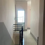 Bán nhà hẻm Trạng Quỳnh Quy Nhơn 56m2 giá 980 triệu - Ảnh thu nhỏ 3