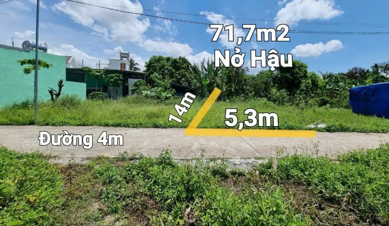 Bán đất Diên Lạc gần Lạc Bình 379m² 749 triệu Bình Chánh - Ảnh 1