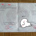 Bán đất nền 5x30m, thổ cư 60m², giá 300 triệu tại Ea H'Đing, Cư M'gar, Đắk Lắk - Ảnh thu nhỏ 1