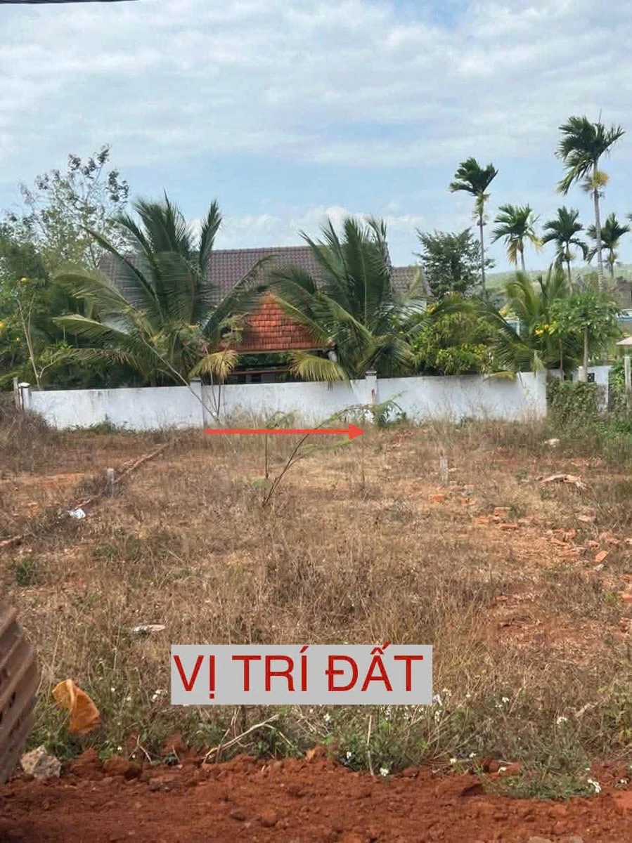 Bán đất 60m2 đường nhựa Buôn Ma Thuột - Ảnh thu nhỏ 4