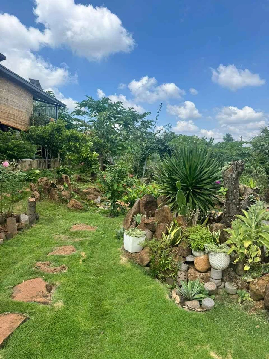Bán nhà vườn 500m² có hồ cá Koi tại Ymoan, Cần Giờ - Ảnh thu nhỏ 3